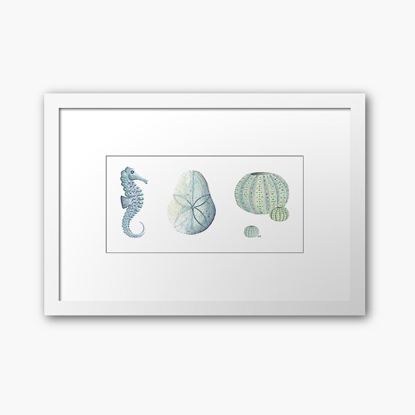 coastal collection I - a study in blue Framed Art Print