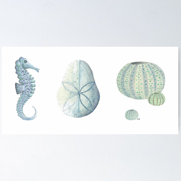 coastal collection I - a study in blue Poster