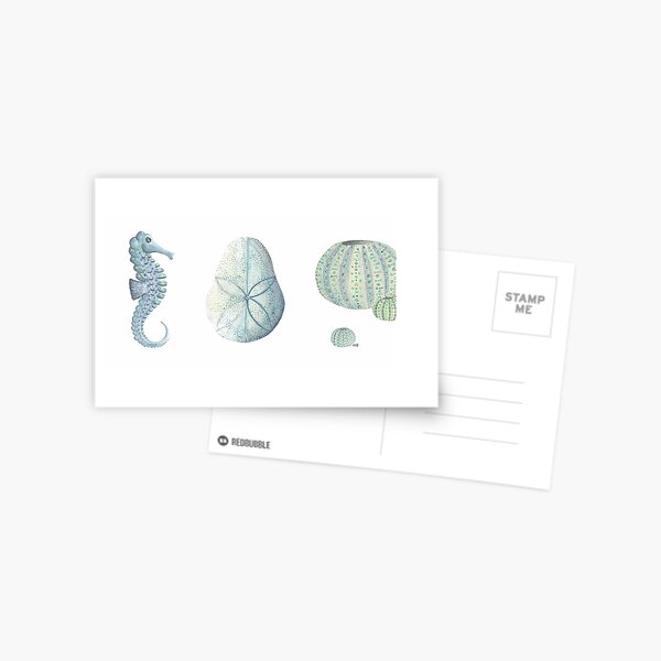 coastal collection I - a study in blue Postcard