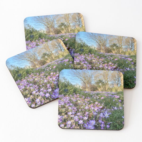 Item preview, Crocus plant, Crocus , February plant, printable  designed and sold by Yusein  Ismail.