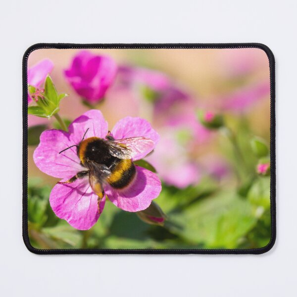 Item preview, Buff Tailed Bumblebee designed and sold by Tanya C  Smith.