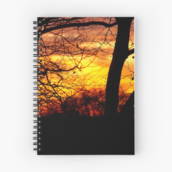 Item preview, Sunset through the Trees designed and sold by Nicole Gath.