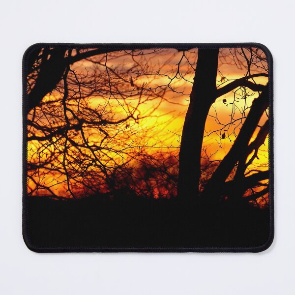 Item preview, Sunset through the Trees designed and sold by Nicole Gath.