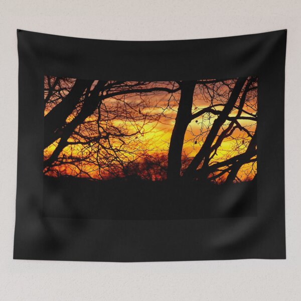 Item preview, Sunset through the Trees designed and sold by Nicole Gath.