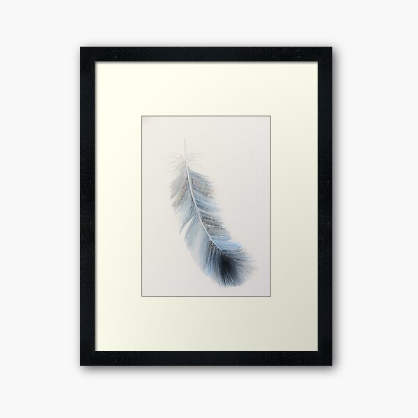 Grey blue feather in watercolour Framed Art Print