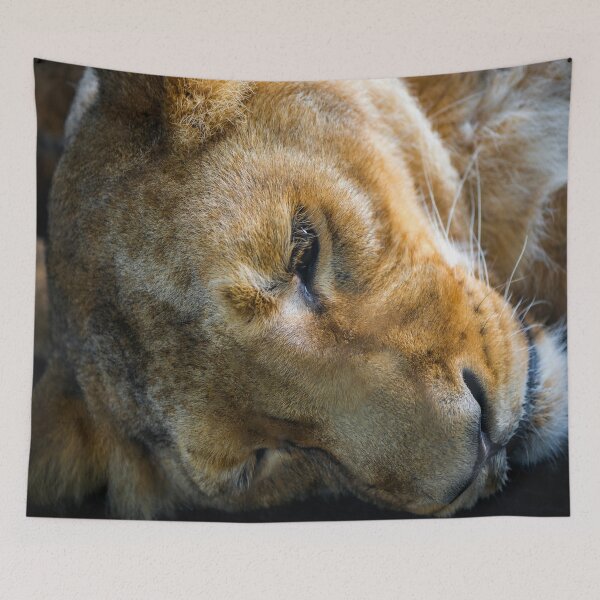 Item preview, Zoology - African Lioness designed and sold by Alius Imago.