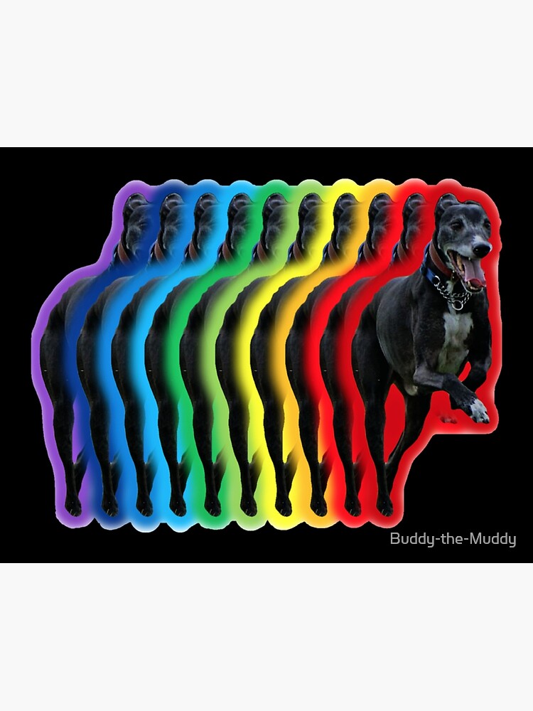 Buddy the Muddy's Rainbow Cap for Sale by Buddy-the-Muddy