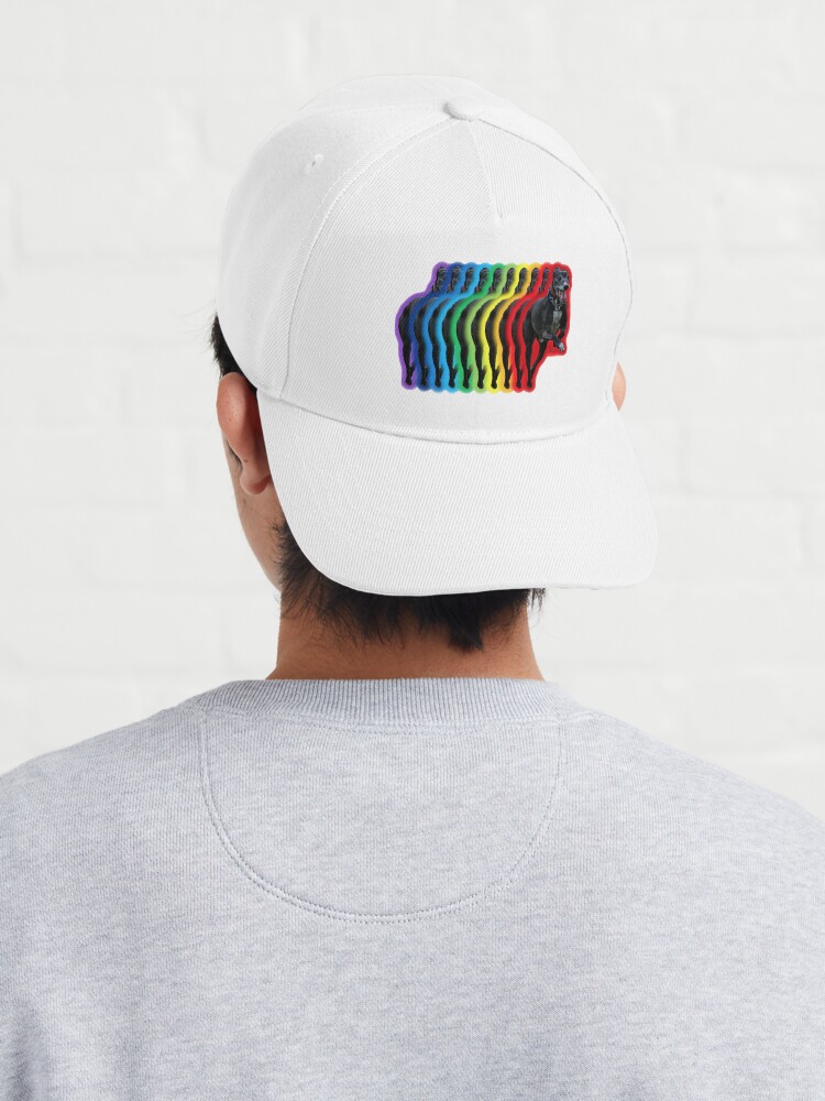 Buddy the Muddy's Rainbow Cap for Sale by Buddy-the-Muddy