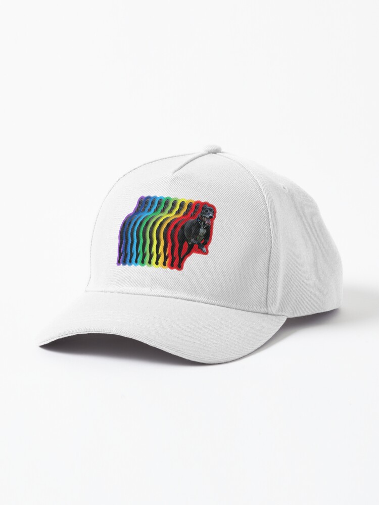 Buddy the Muddy's Rainbow Cap for Sale by Buddy-the-Muddy