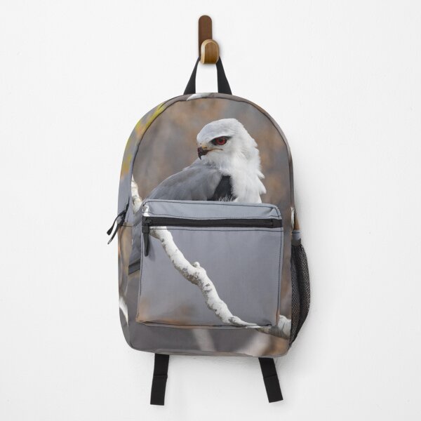 Item preview, Black winged kite designed and sold by PhotographyDana.
