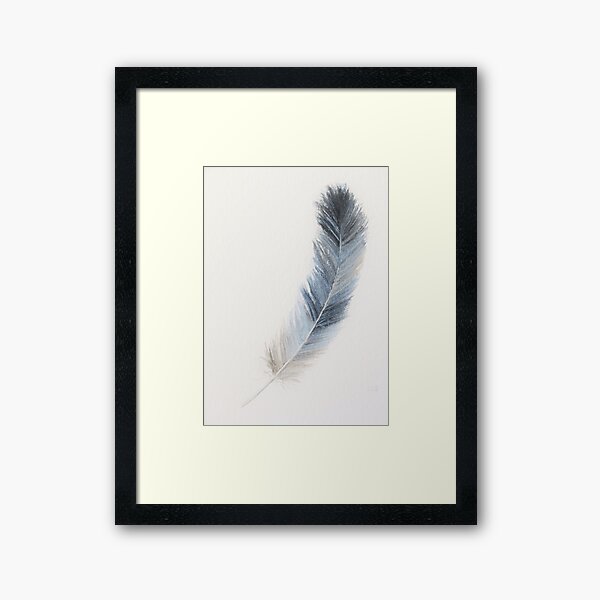 Grey blue feather study in watercolour II Framed Art Print