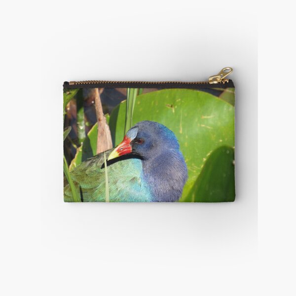 Item preview, Hiding designed and sold by Howard S Taylor.