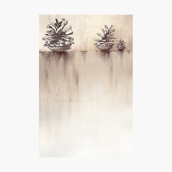Item preview, Pine cone three designed and sold by LisaLeQuelenec.