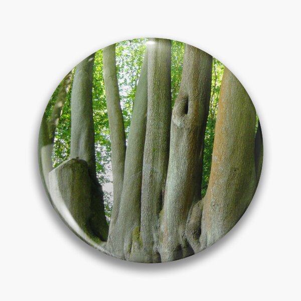 Item preview, Trees from the same roots designed and sold by pinkal.