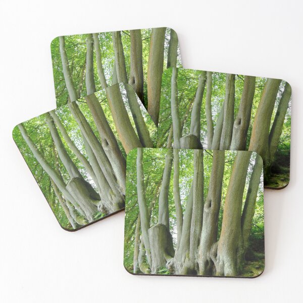 Item preview, Trees from the same roots designed and sold by pinkal.