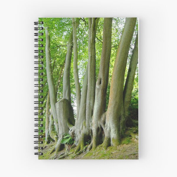 Item preview, Trees from the same roots designed and sold by pinkal.