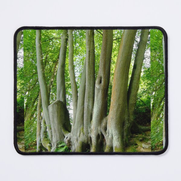 Item preview, Trees from the same roots designed and sold by pinkal.