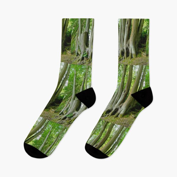 Item preview, Trees from the same roots designed and sold by pinkal.