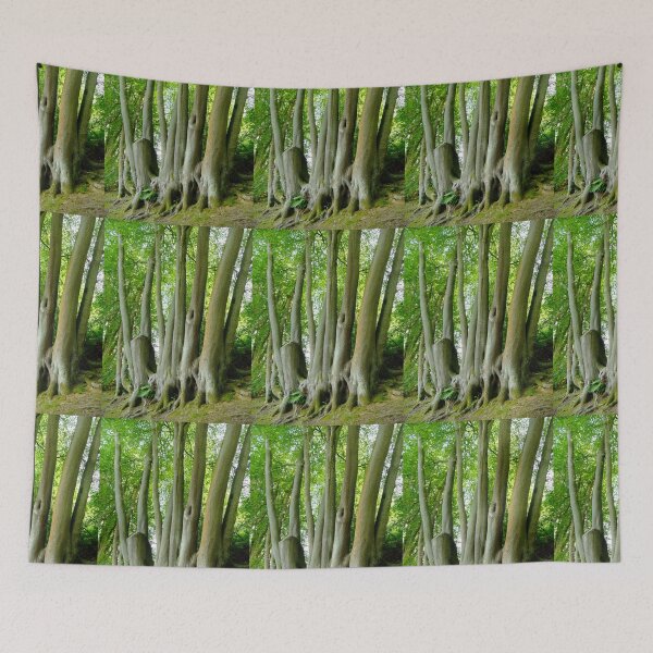Item preview, Trees from the same roots designed and sold by pinkal.