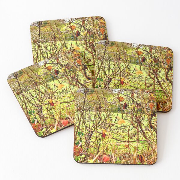 Item preview, Hedgerow with Barbs designed and sold by lightworks.