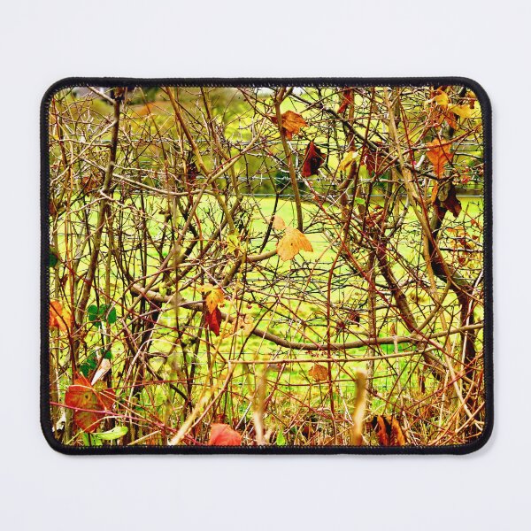 Item preview, Hedgerow with Barbs designed and sold by lightworks.