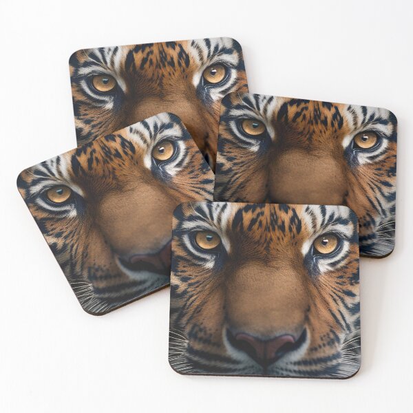 Item preview, Tiger-Face-Closeup designed and sold by Kirollos9.