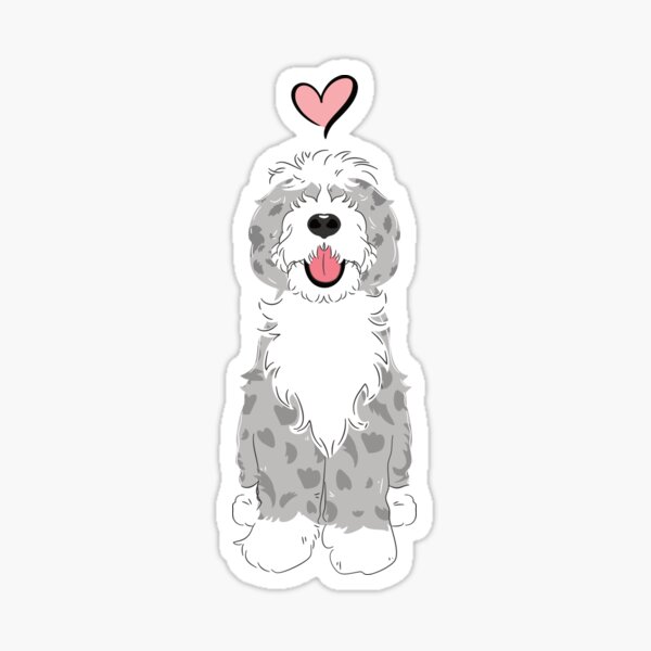Blue Merle Sheepadoodle 1 Sticker