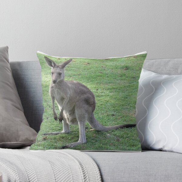 Item preview, kangerooo designed and sold by brad18672.