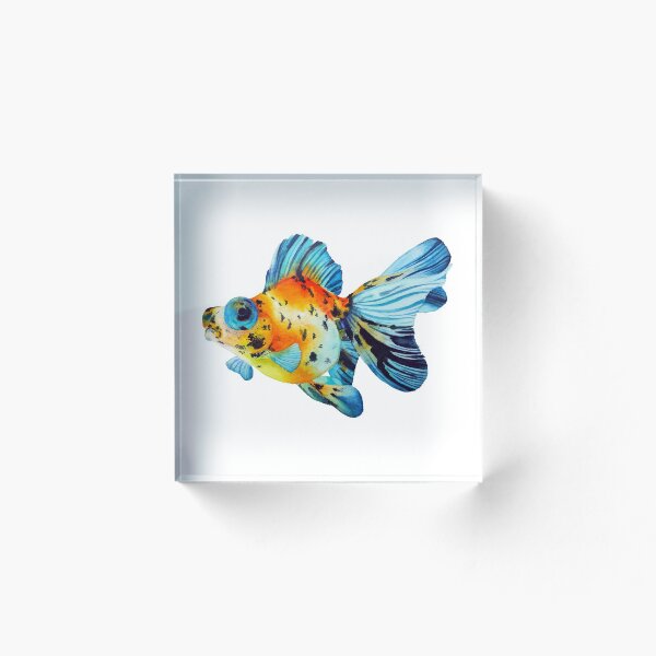 Item preview, Telescopio de peces de colores designed and sold by DiBeauteous.