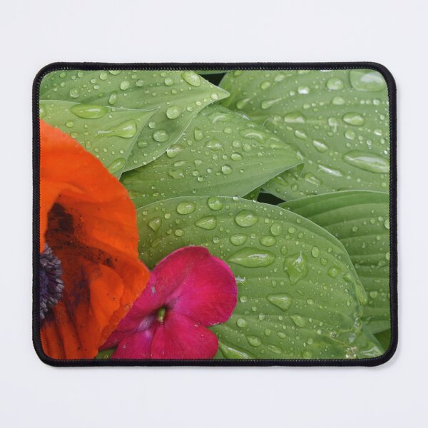 Item preview, The garden after the rain designed and sold by Claude Laprise.