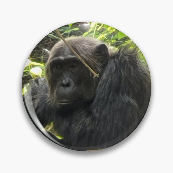 Artikelvorschau, Chimpanzee in Uganda entworfen und verkauft von mntravelz.