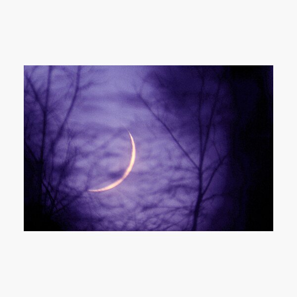 Lavender Dusk Photographic Print
