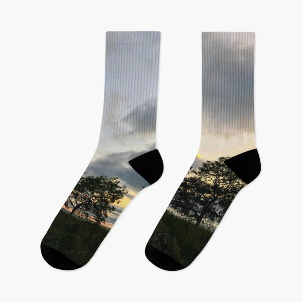 Item preview, Trees Against The Sunset | Nature Landscape Photography designed and sold by Jacqueline Elise.