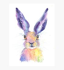 Rainbow Hare Photographic Print