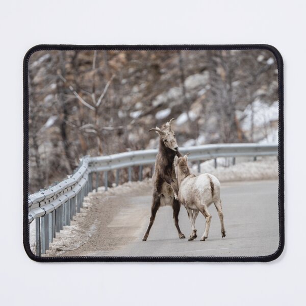 Item preview, Are you messing with me ? designed and sold by Natashacolling.