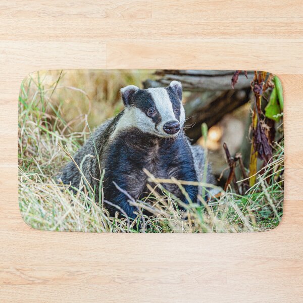 Item preview, Badger looking for dinner designed and sold by Dalyndigital Photography.