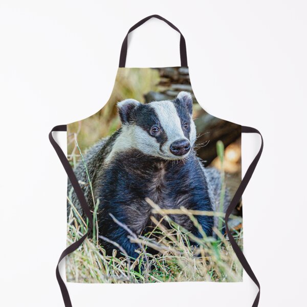 Item preview, Badger looking for dinner designed and sold by Dalyndigital Photography.