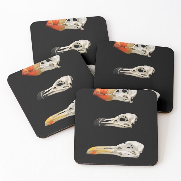 Item preview, Bird skulls tufted puffin razorbill gull designed and sold by Puffy-Puffin.