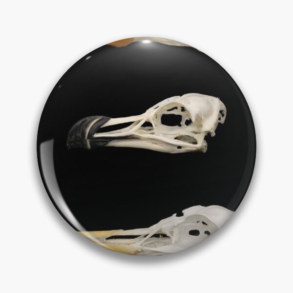 Item preview, Bird skulls tufted puffin razorbill gull designed and sold by Puffy-Puffin.