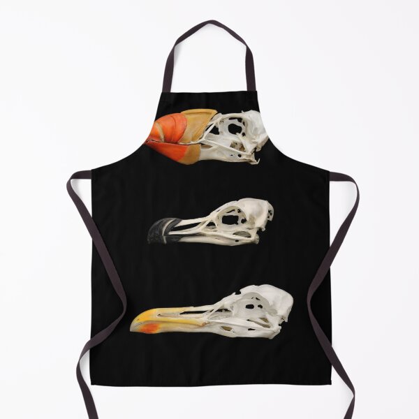 Item preview, Bird skulls tufted puffin razorbill gull designed and sold by Puffy-Puffin.