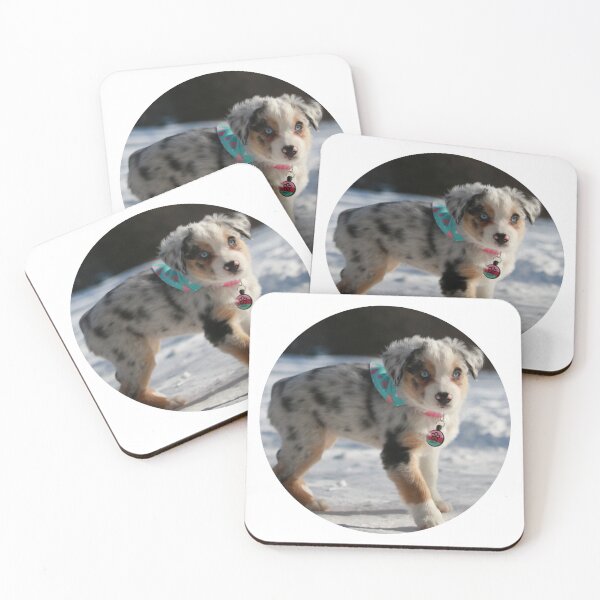 Item preview, Oakley, the Mini Australian Shepherd Puppy #3 designed and sold by jeff7109.