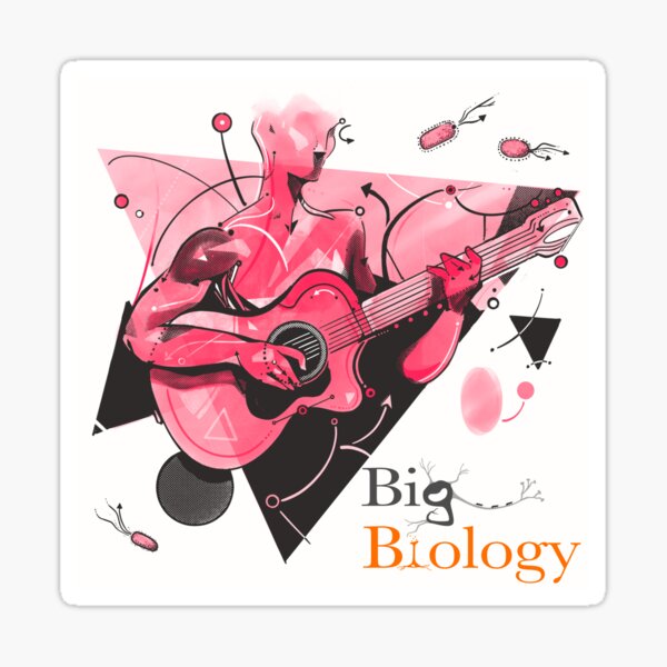 Item preview, Network motifs designed and sold by BigBiology.