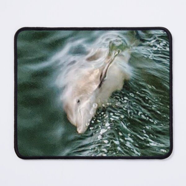 Item preview, Riding the Wake! designed and sold by Missy69.