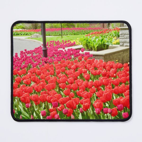 Item preview, Tulips designed and sold by Shulie1.