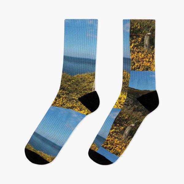 Item preview, Fanad Head coast gorse boom Donegal designed and sold by eddiebarronshop.