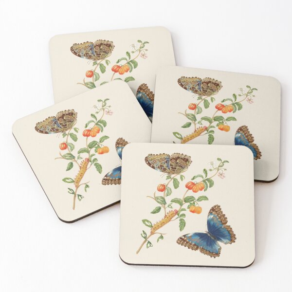 Item preview, Metamorphosis (1705) by Maria Sibylla Merian designed and sold by Antiquated Art.