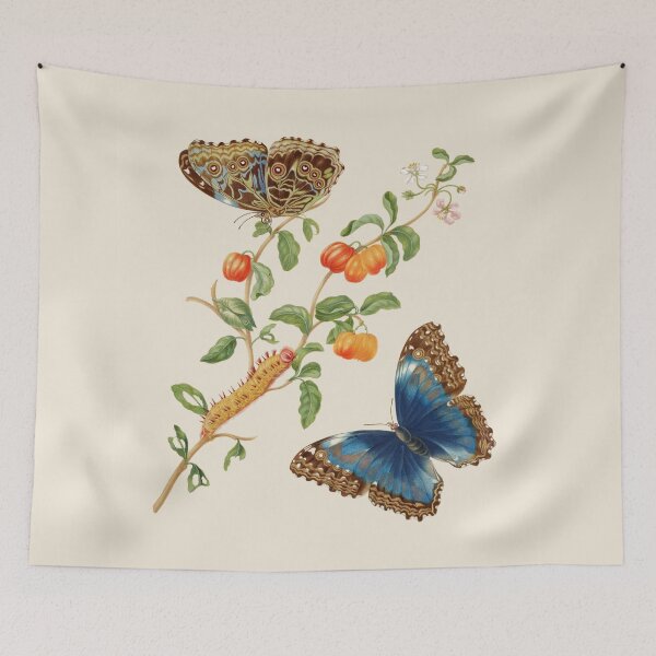 Item preview, Metamorphosis (1705) by Maria Sibylla Merian designed and sold by Antiquated Art.