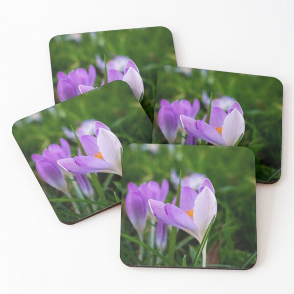 Item preview, Early crocus designed and sold by Araveen-Photo.