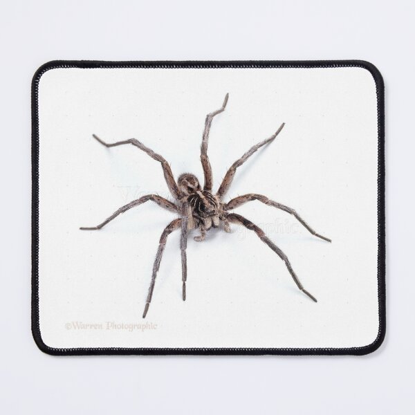 Item preview, Awesome Spider  designed and sold by WackyJacks.