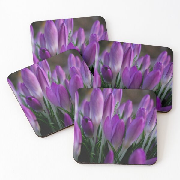 Item preview, Early crocus designed and sold by Araveen-Photo.